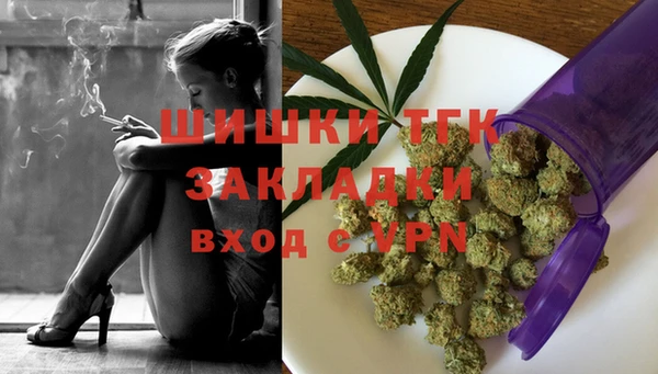 амф Алексин