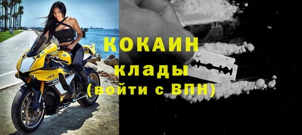 сатива Осинники