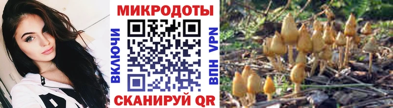 где можно купить наркотик  Струнино  Галлюциногенные грибы MAGIC MUSHROOMS 